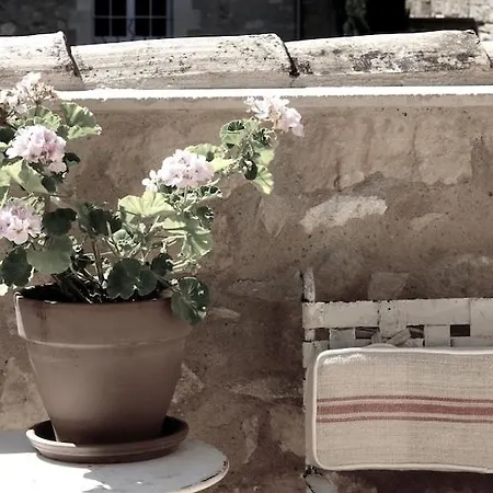 Villa Luxury In The Heart St.remy-de-provence